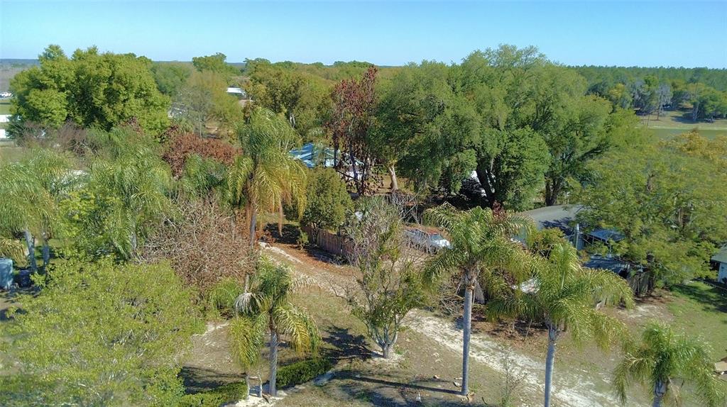 An aerial view of a wooded property featuring palm trees, a driveway, and residential buildings — 0 CENTRAL AVENUE, BARTOW, FL