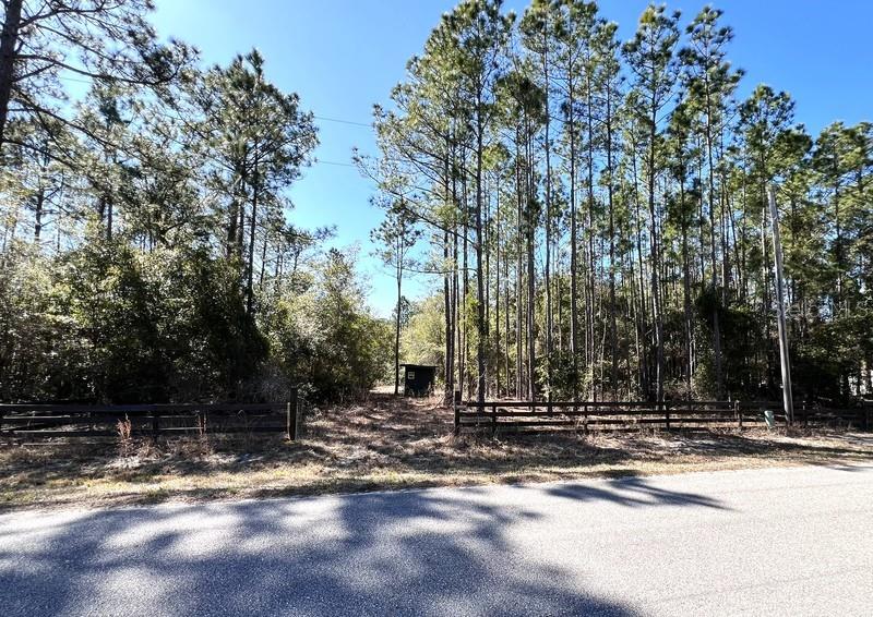 A fenced, wooded lot features a small dark shed set back from a paved road — 181 LAKEWAY DRIVE, GEORGETOWN, FL