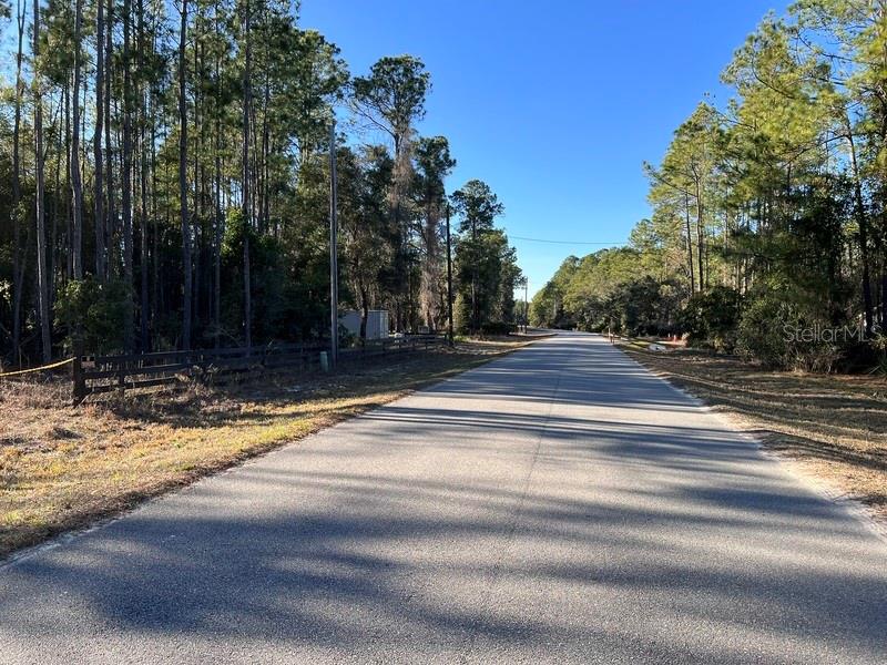 A paved road stretches into the distance between wooded areas and a wooden fence — 181 LAKEWAY DRIVE, GEORGETOWN, FL