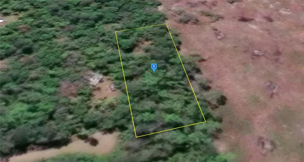 An aerial view shows a rectangular plot of land outlined in yellow amidst dense vegetation — 200 NE LEEK TRAIL, LEE, FL