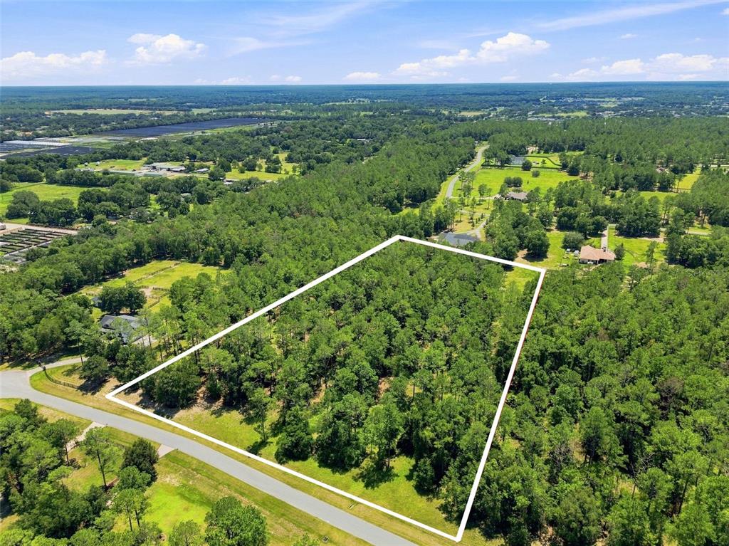 An aerial view shows a rectangular, wooded plot of land outlined in white near a road — 24150 GREENWOOD CROSSING, EUSTIS, FL
