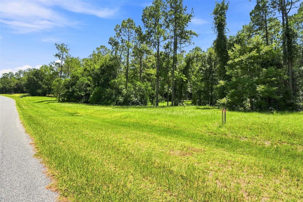 A grassy, undeveloped lot sits next to a paved road with a dense forest background — 24150 GREENWOOD CROSSING, EUSTIS, FL