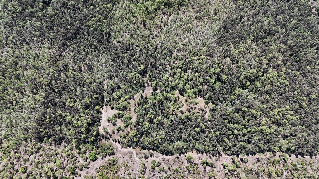 An aerial view shows a small cabin nestled within a dense, wooded forest area — 16840 JOZACH DRIVE, NAPLES, FL