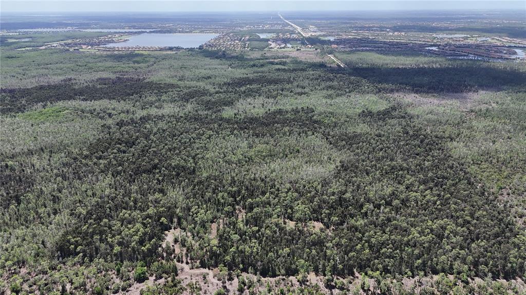 An aerial view shows a large, dense forest area adjacent to a residential community with lakes — 16840 JOZACH DRIVE, NAPLES, FL