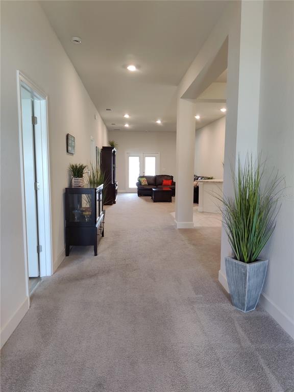 A carpeted hallway leads to a living area with a dark cabinet and potted plants — 5568 OCEAN BREEZE DRIVE, SPRING HILL, FL
