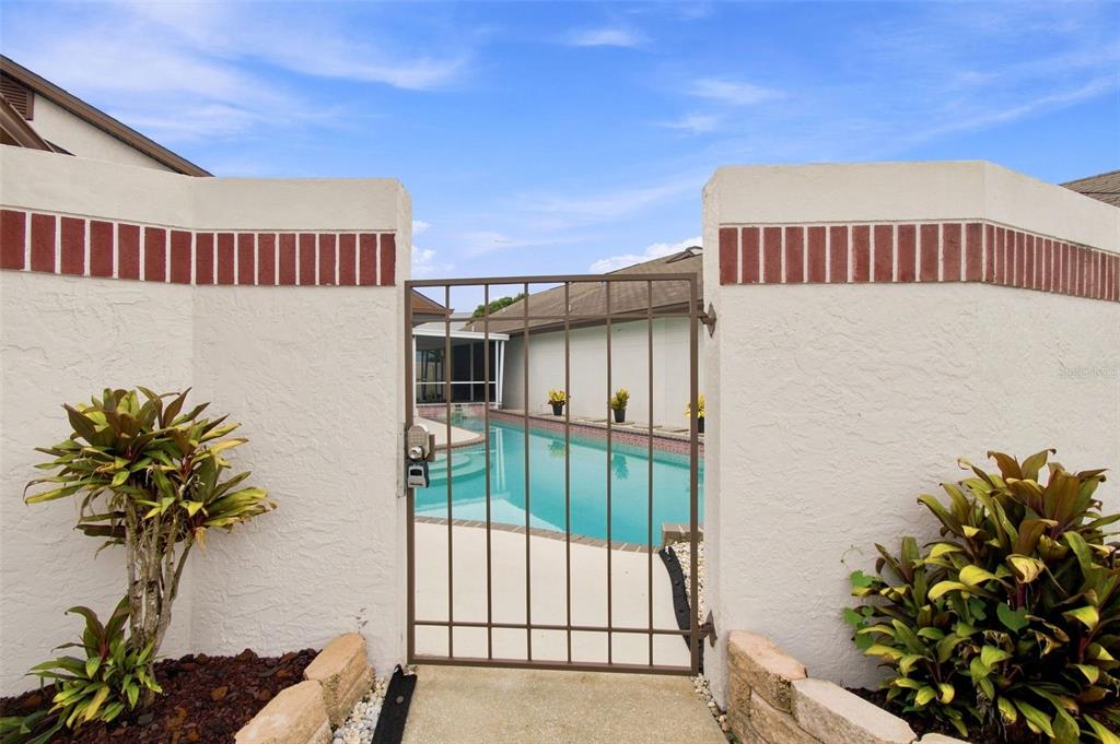 A metal gate opens to a backyard swimming pool enclosed by a stucco wall — 7123 SILVERMILL DRIVE, TAMPA, FL