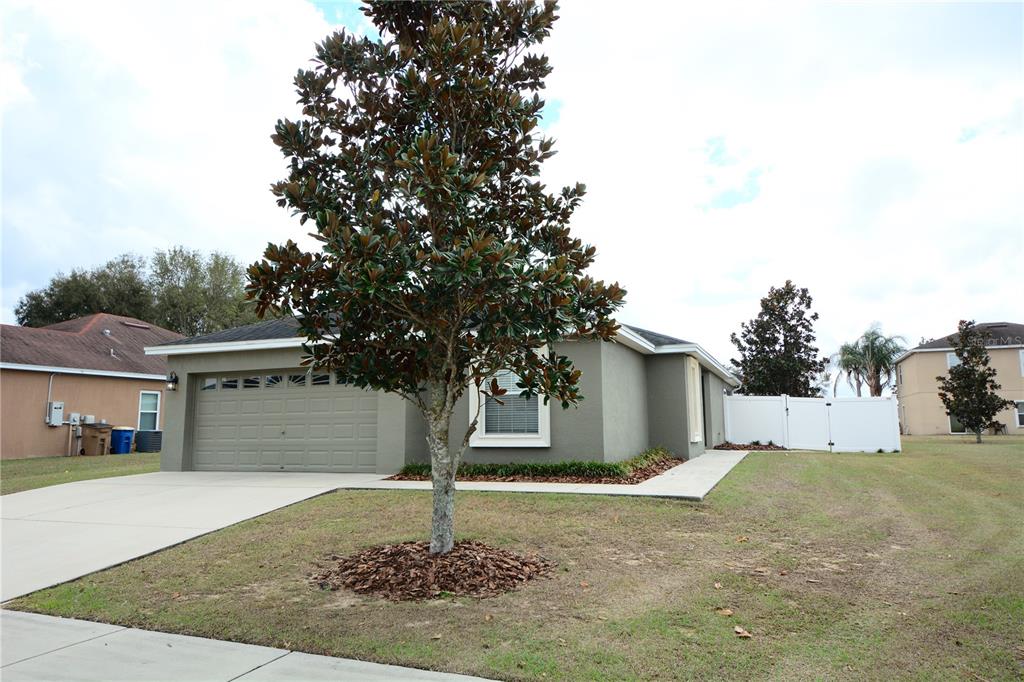 1955 SUNFLOWER STREET