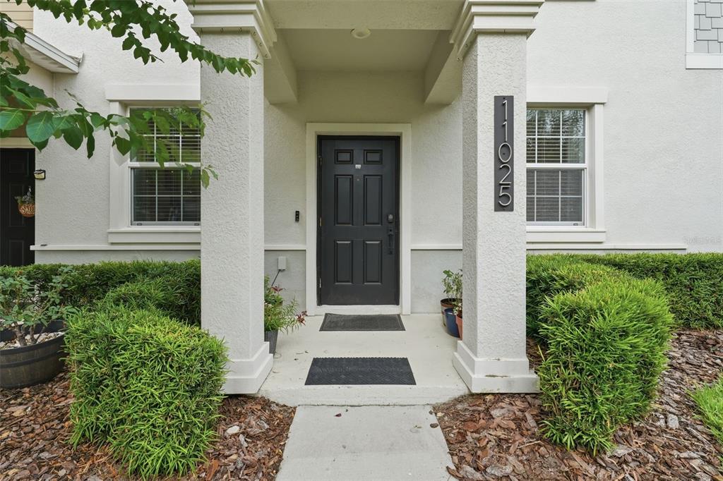 The exterior view shows a front entrance with a dark door, house numbers, and landscaping — 11025 SUSPENSE DRIVE, WINTER GARDEN, FL