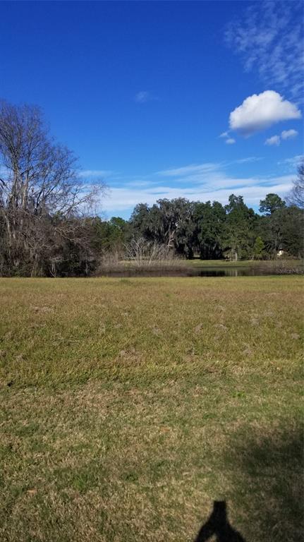 A grassy field leads to a pond surrounded by trees under a blue sky — 4145 SW 69TH AVENUE, GAINESVILLE, FL