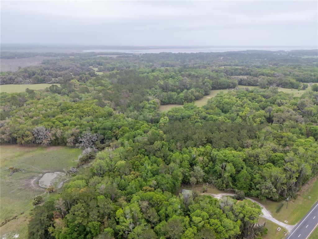 An aerial view shows a large, wooded lot with a small pond and a road — 17819 SR-25, MICANOPY, FL