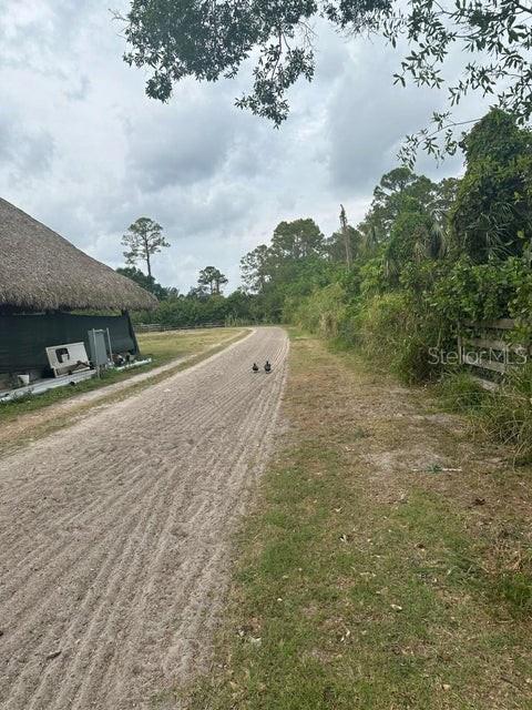 A dirt path leads past a thatched-roof structure toward a line of trees — 3525 D RD, LOXAHATCHEE GROVES, FL