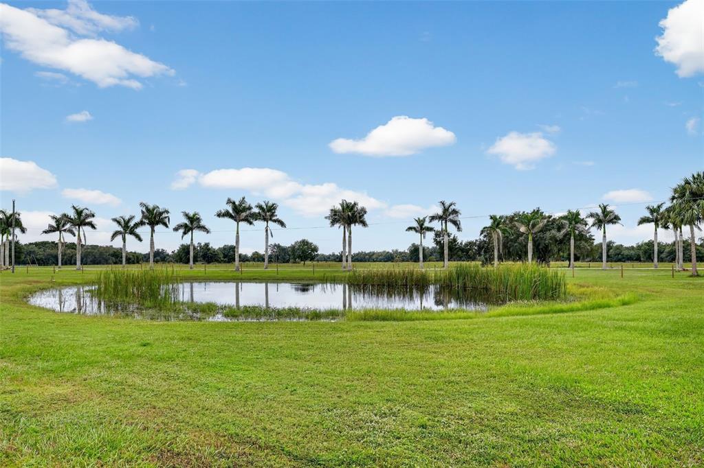 5420 SW COUNTY ROAD 769, ARCADIA, FL — photo 3 of 30