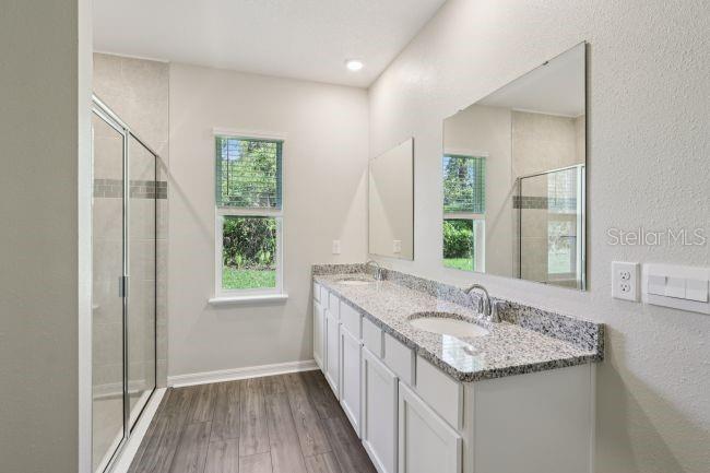 A bathroom features a glass-enclosed shower, a double vanity with granite countertops, and wood-look flooring — 16854 NW 178TH TERRACE, ALACHUA, FL