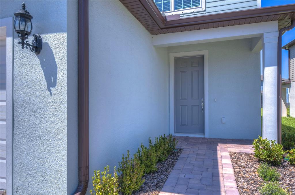 A paved walkway leads to a gray front door under a covered entryway — 17751 EVERLONG DRIVE, LAND O LAKES, FL