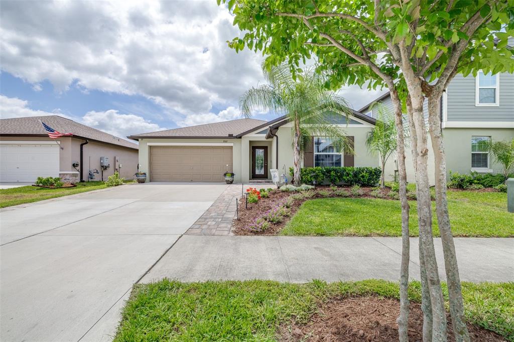 8969 LITTLE BLUESTEM DRIVE