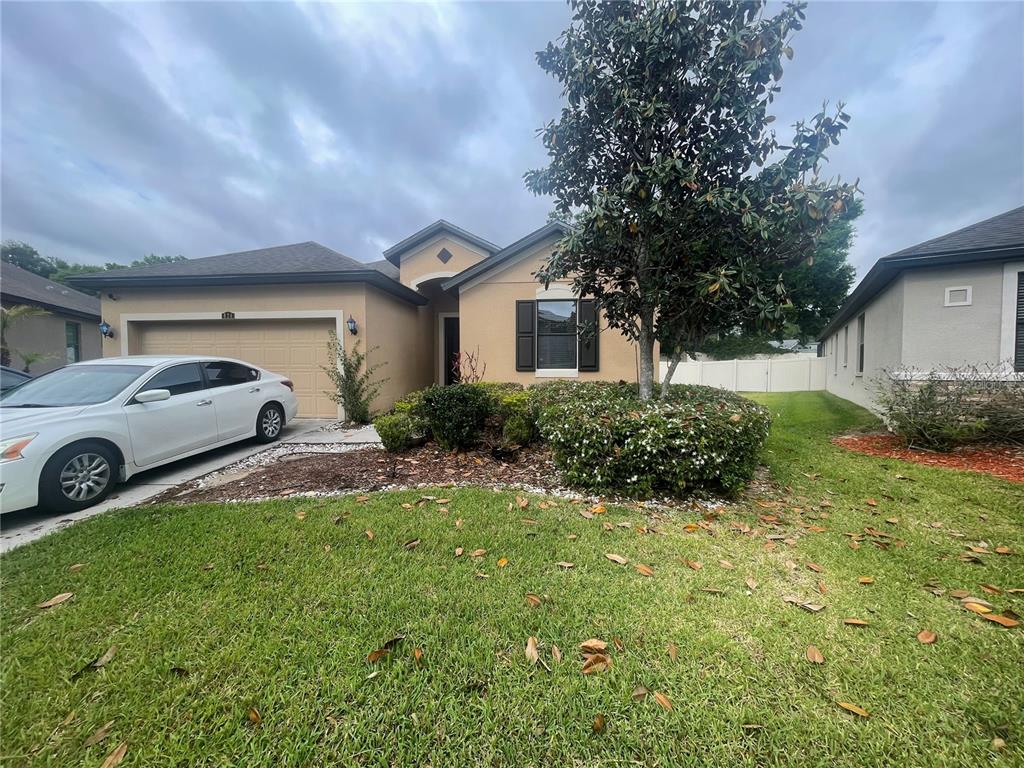 A single-story house with a tan exterior, a two-car garage, and a large front tree — 824 VINO VERDE CIRCLE, BRANDON, FL