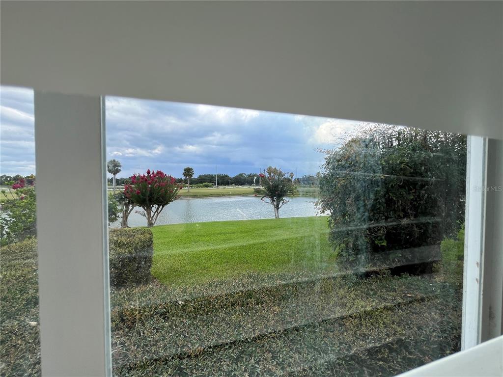 A view of a grassy backyard overlooking a pond with palm trees under a blue sky — 413 EAGLE RIDGE DRIVE UNIT 413, DAVENPORT, FL