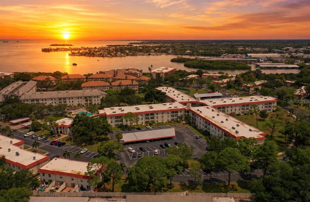 2700 BAYSHORE BOULEVARD UNIT 2110