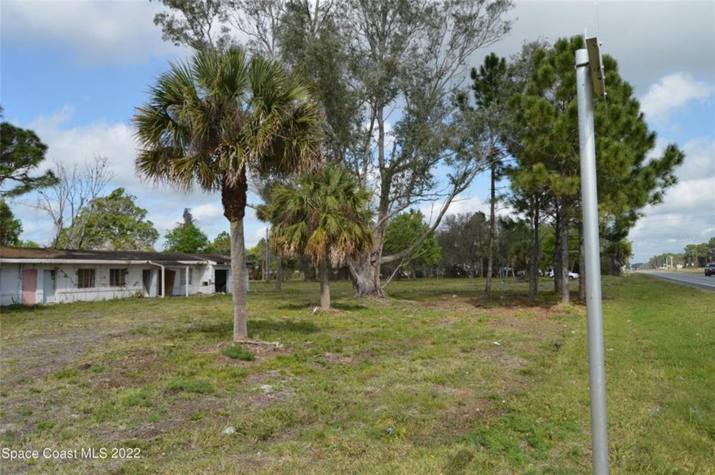 A grassy lot features a small, weathered building, several palm trees, and pine trees — 3500 US HIGHWAY 1, MIMS, FL