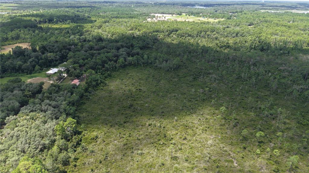 CROCUS LN, HAWTHORNE, FL — photo 4 of 30