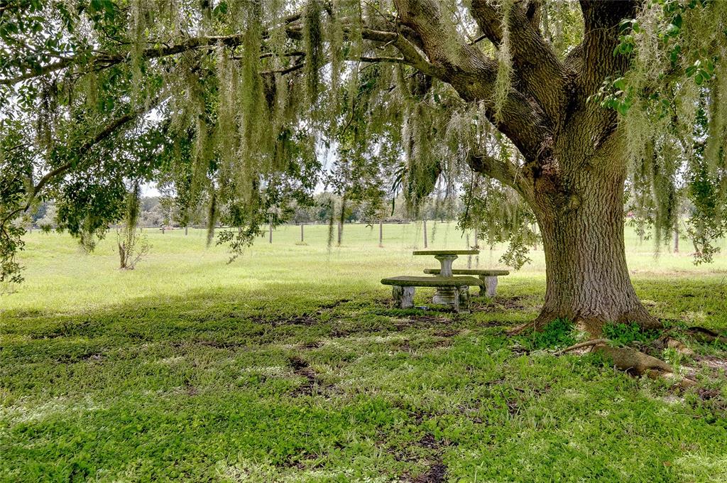 8235 STATE ROAD 64 W, ONA, FL — photo 5 of 30