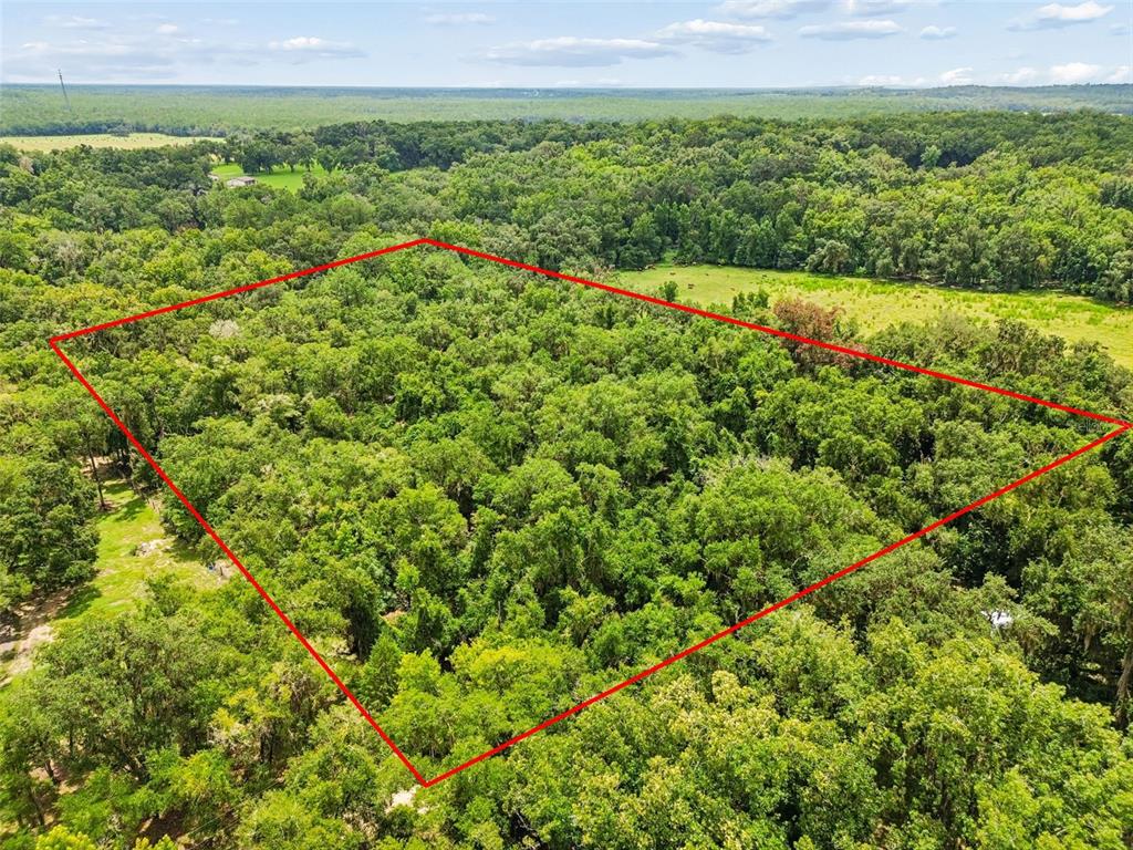 An aerial view shows a wooded plot of land outlined in red against a rural landscape — 5111 E UNNAMED LANE, FLORAL CITY, FL