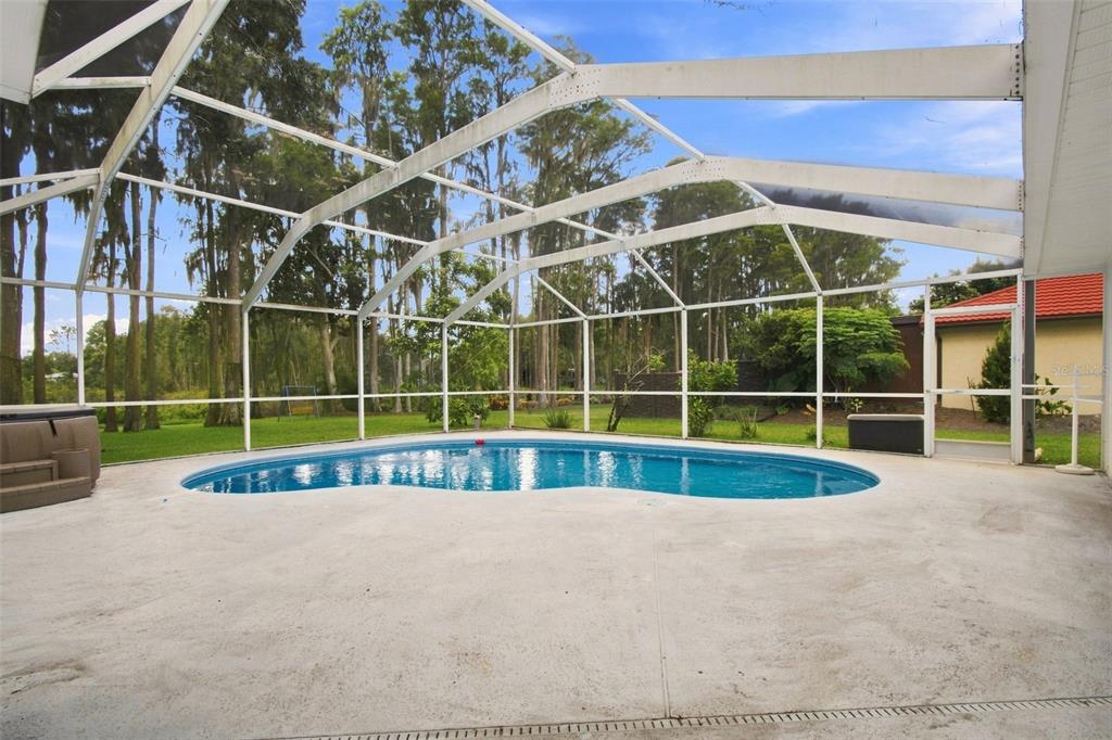 A screened-in patio features a kidney-shaped swimming pool and a hot tub on concrete decking — 210 LAKE HOBBS ROAD, LUTZ, FL