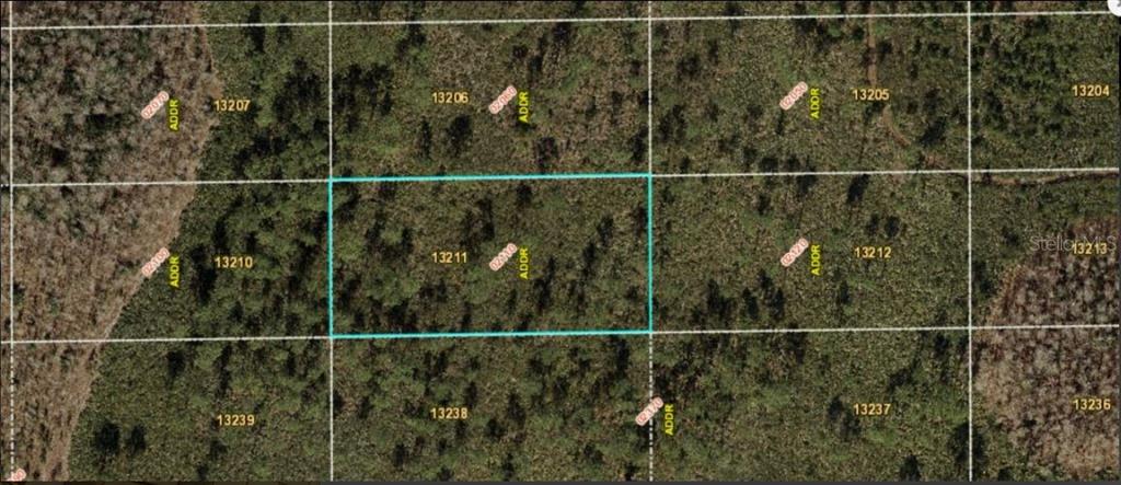 This is an aerial map view showing a highlighted rectangular plot of land — DILL ROAD, ORLANDO, FL