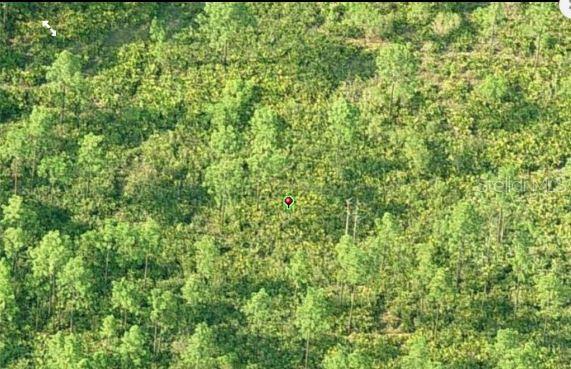 An aerial view shows a densely wooded plot of land marked with a red pin — DILL ROAD, ORLANDO, FL