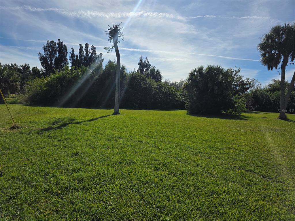 A grassy, sunlit lot features a tall, thin tree and dense foliage in the background — 7215 RIVERSIDE  DR., PUNTA GORDA, FL