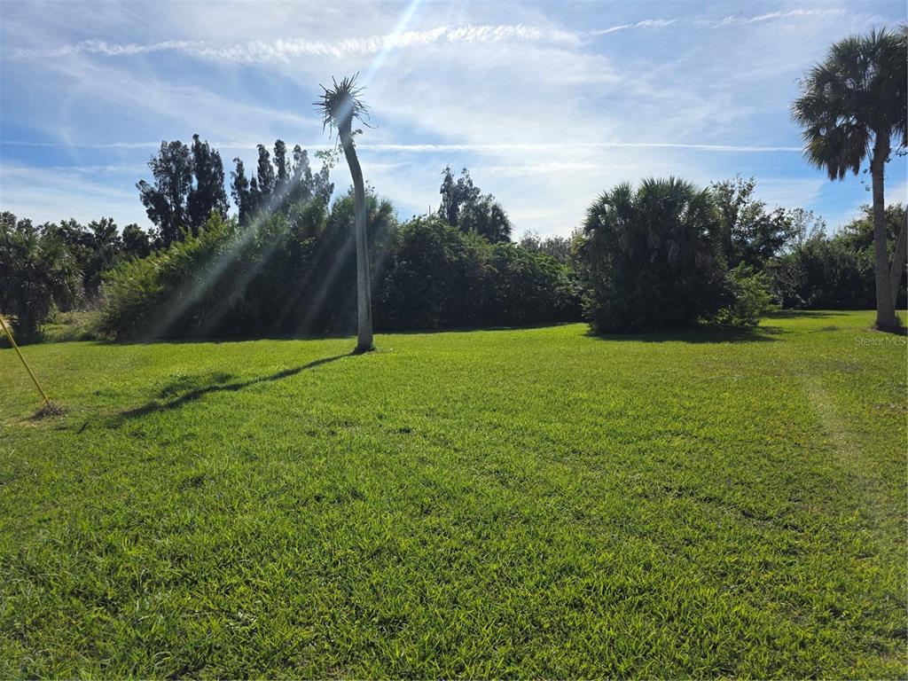 A grassy, sunlit lot features a tall, slender palm tree and dense surrounding vegetation — 7215 RIVERSIDE  DR., PUNTA GORDA, FL