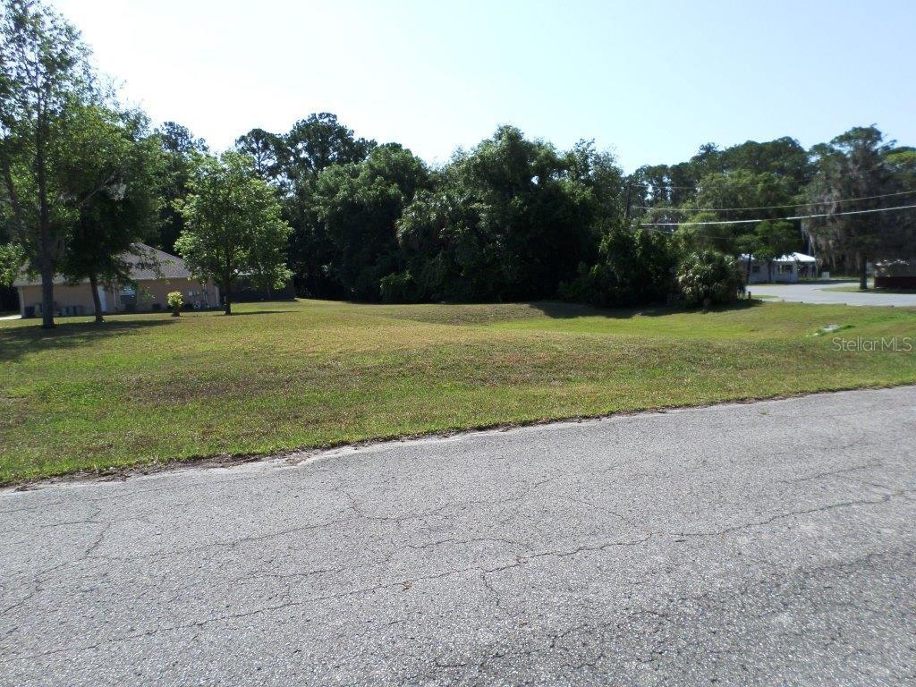 A vacant, grassy lot sits between two houses with a paved road in the foreground — 000 BLUE HERON CT UNIT 000, DUNNELLON, FL