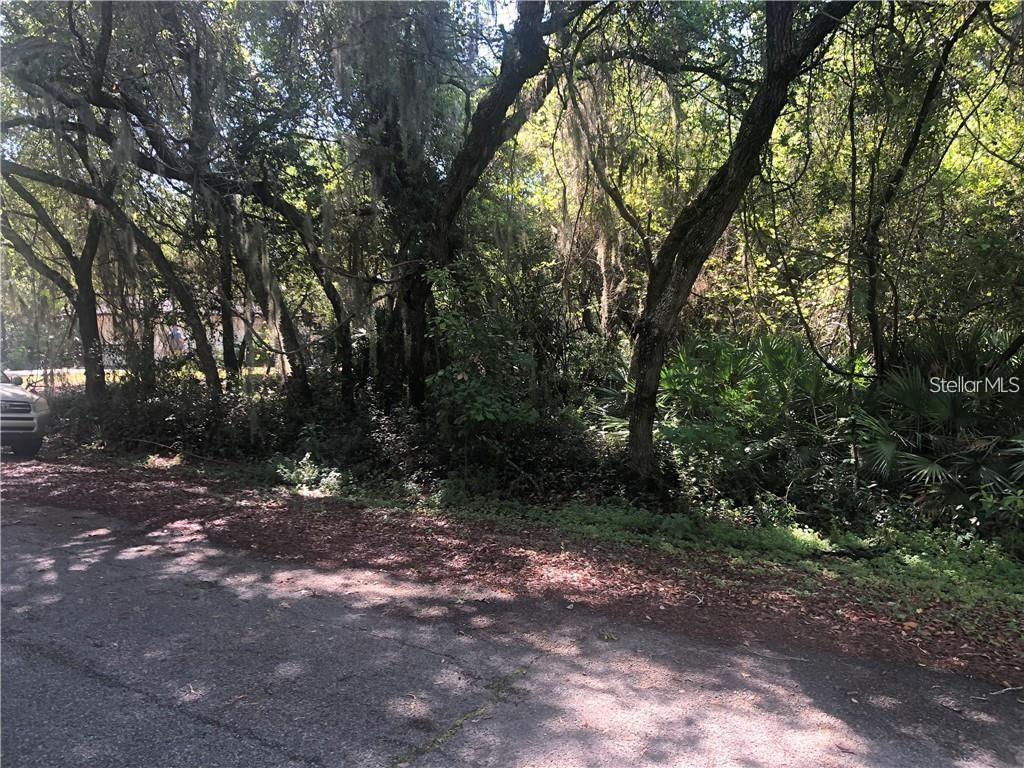 A paved road runs alongside a densely wooded lot with mature trees and Spanish moss — 261 TOMS ROAD, DEBARY, FL