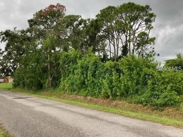 A paved road runs alongside a dense, overgrown wooded lot with tall pine trees — CONRAD ROAD, VENICE, FL