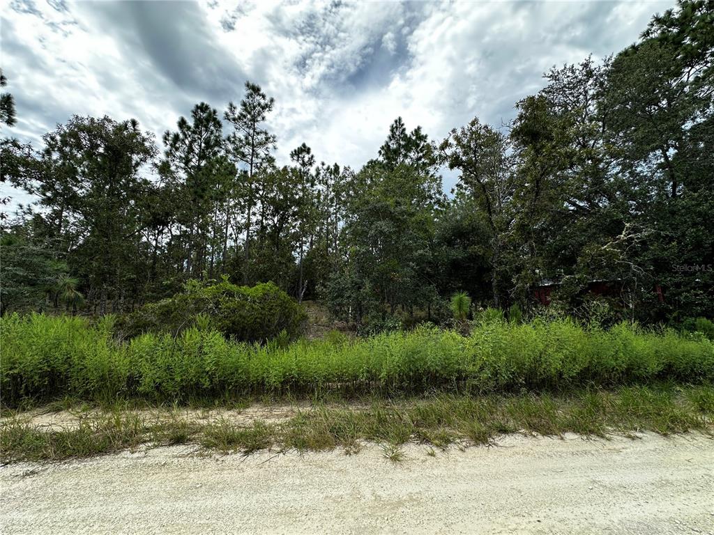 0000 NE 149TH COURT, WILLISTON, FL — photo 3 of 8