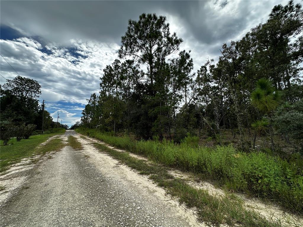0000 NE 149TH COURT, WILLISTON, FL — photo 4 of 8
