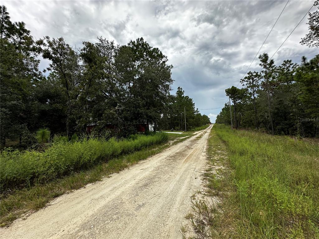0000 NE 149TH COURT, WILLISTON, FL — photo 5 of 8