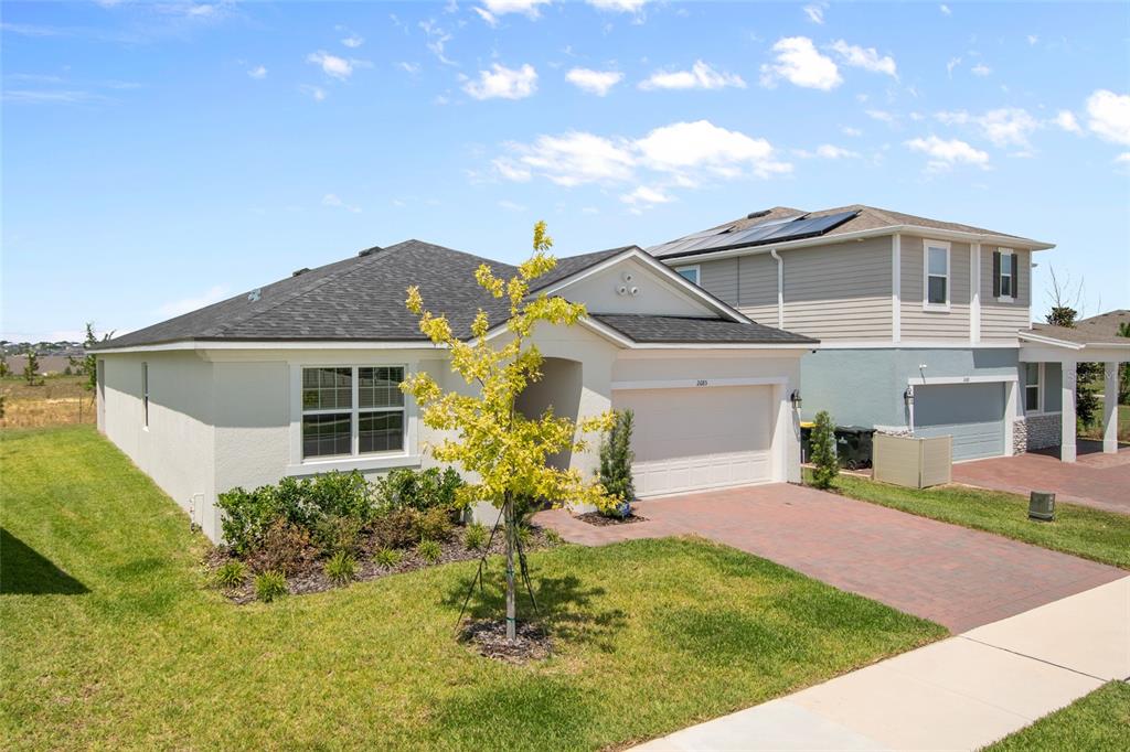 A single-story house with a light-colored stucco exterior, a paved driveway, and a small tree — 2685 SWEET ACACIA DRIVE, CLERMONT, FL