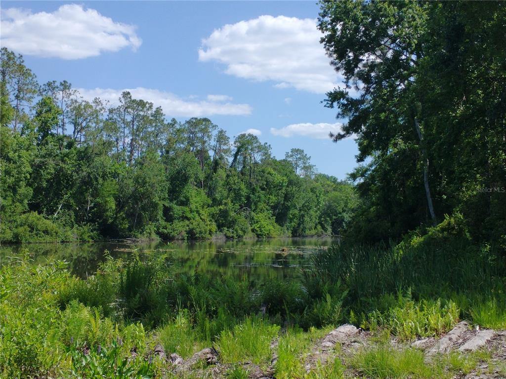 A calm pond surrounded by dense green trees under a blue sky with clouds — 0000 EAGLE BOULEVARD, LAND O LAKES, FL