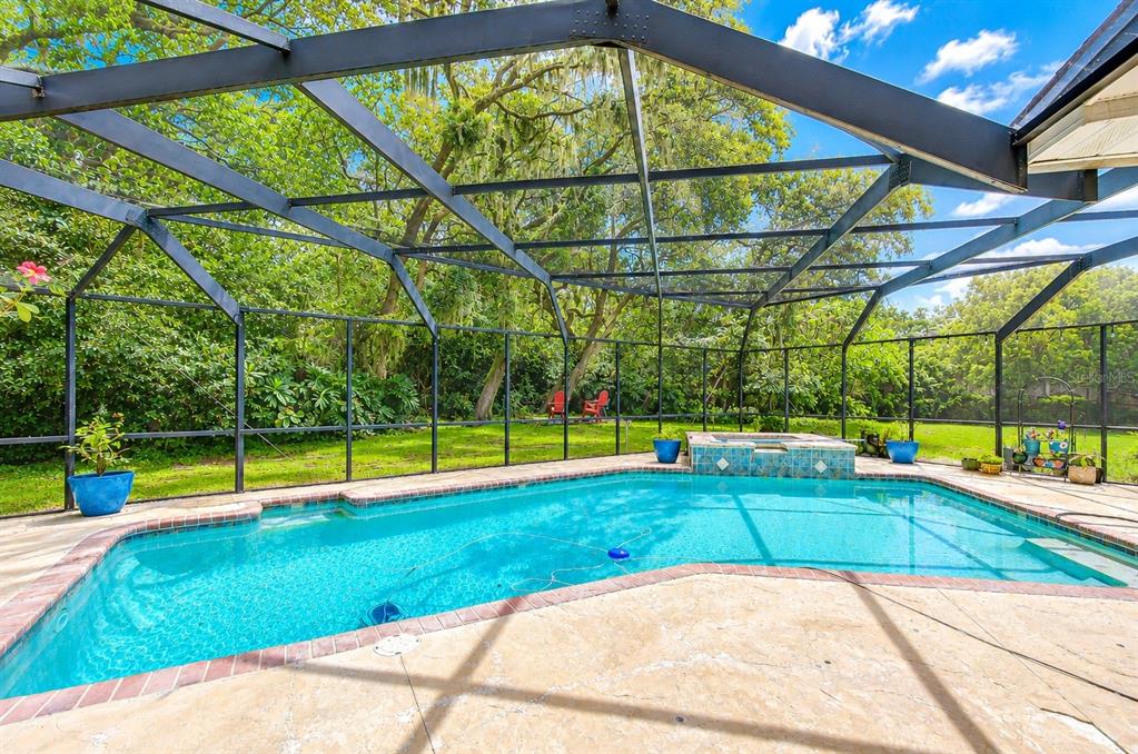 A screened-in swimming pool and hot tub sit on a patio surrounded by lush trees — 901 WOODVIEW DRIVE, BRANDON, FL