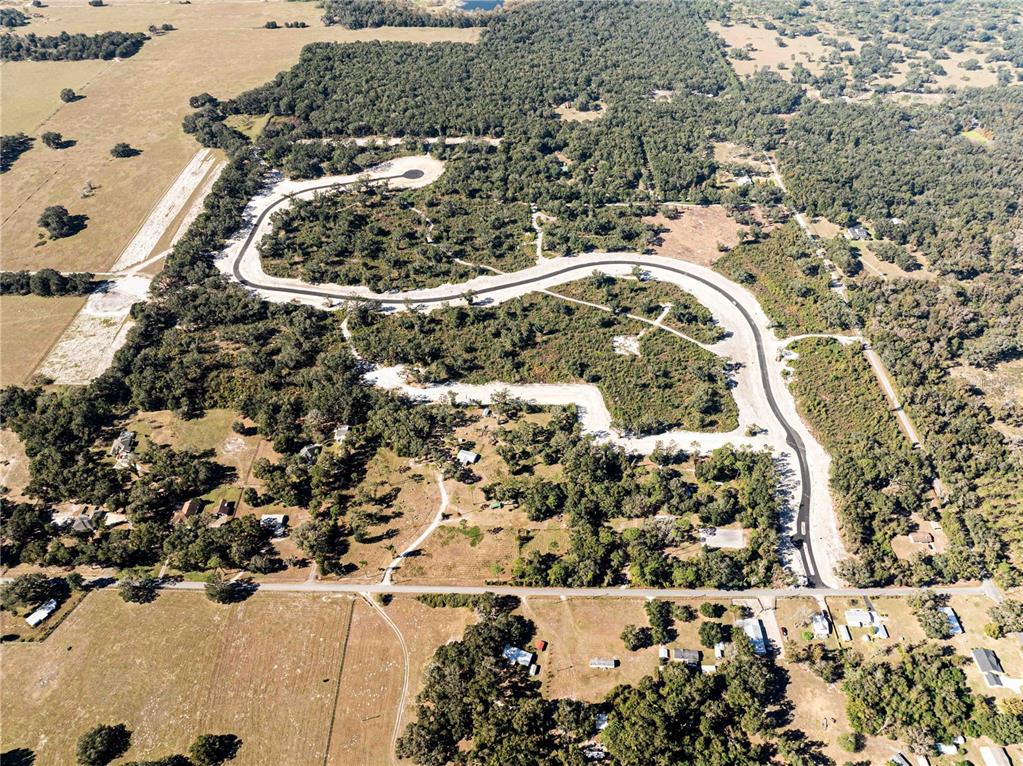 An aerial view shows a newly paved road winding through a wooded residential development — 1485 OXFORD PRESERVE TRL, OXFORD, FL