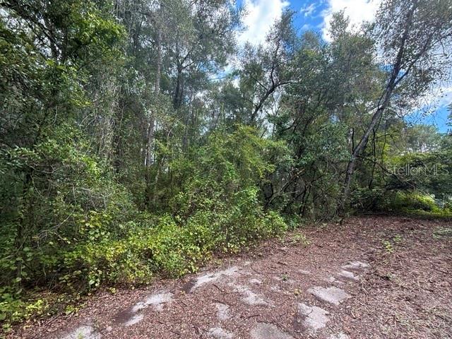 177 N OAKWOOD TERRACE, INVERNESS, FL — photo 4 of 11
