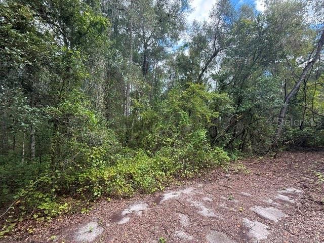 177 N OAKWOOD TERRACE, INVERNESS, FL — photo 5 of 11