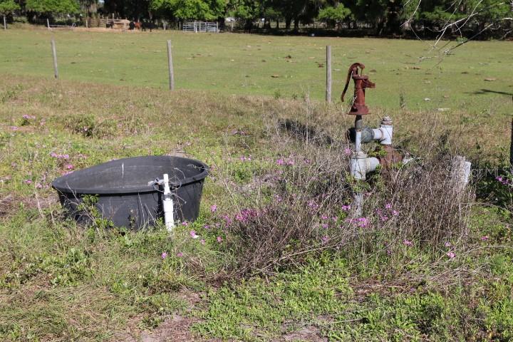 A rusty hand pump stands next to a black plastic water trough in a grassy field — CR 48, BUSHNELL, FL