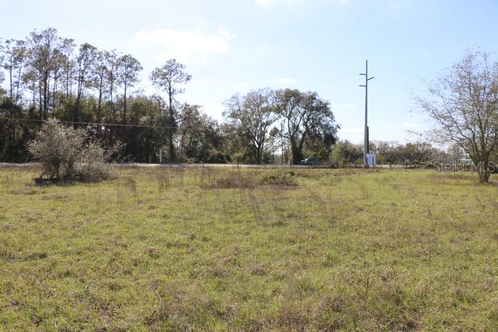 A large, flat, grassy vacant lot with scattered trees and a utility pole in the background — CR 48, BUSHNELL, FL