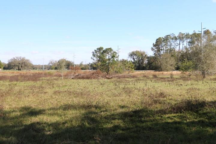 A wide, grassy field with scattered trees and utility poles under a clear blue sky — CR 48, BUSHNELL, FL