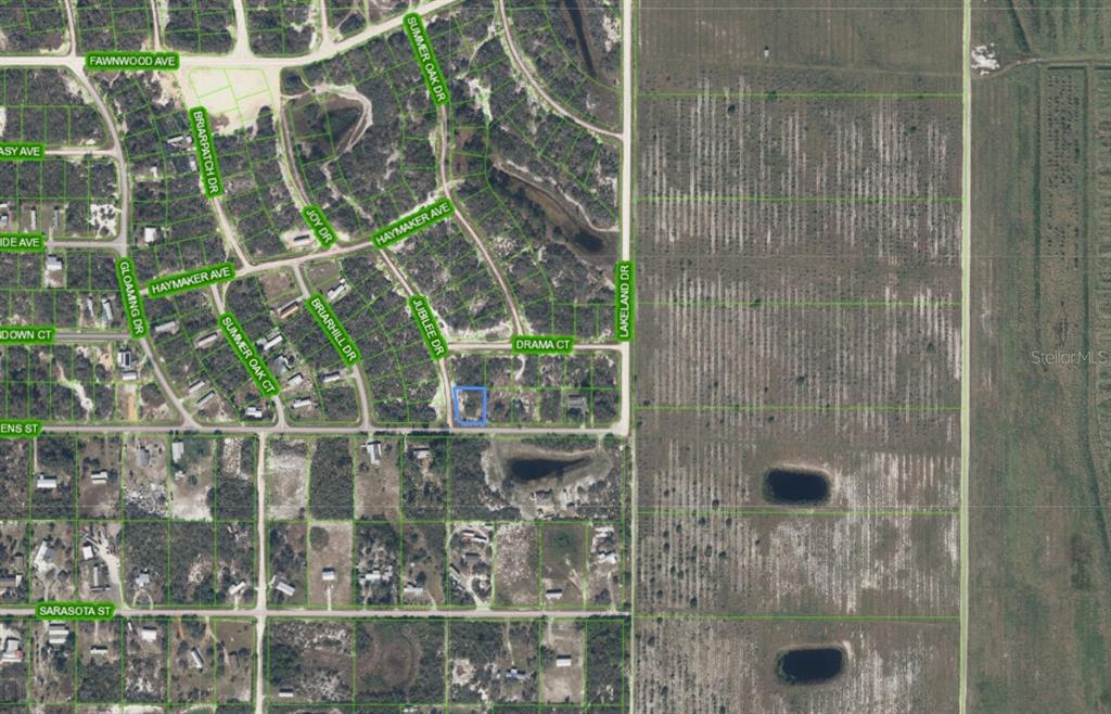 This is an aerial map showing a residential lot highlighted in blue within a neighborhood — 210 IMPATIENS STREET, LAKE PLACID, FL