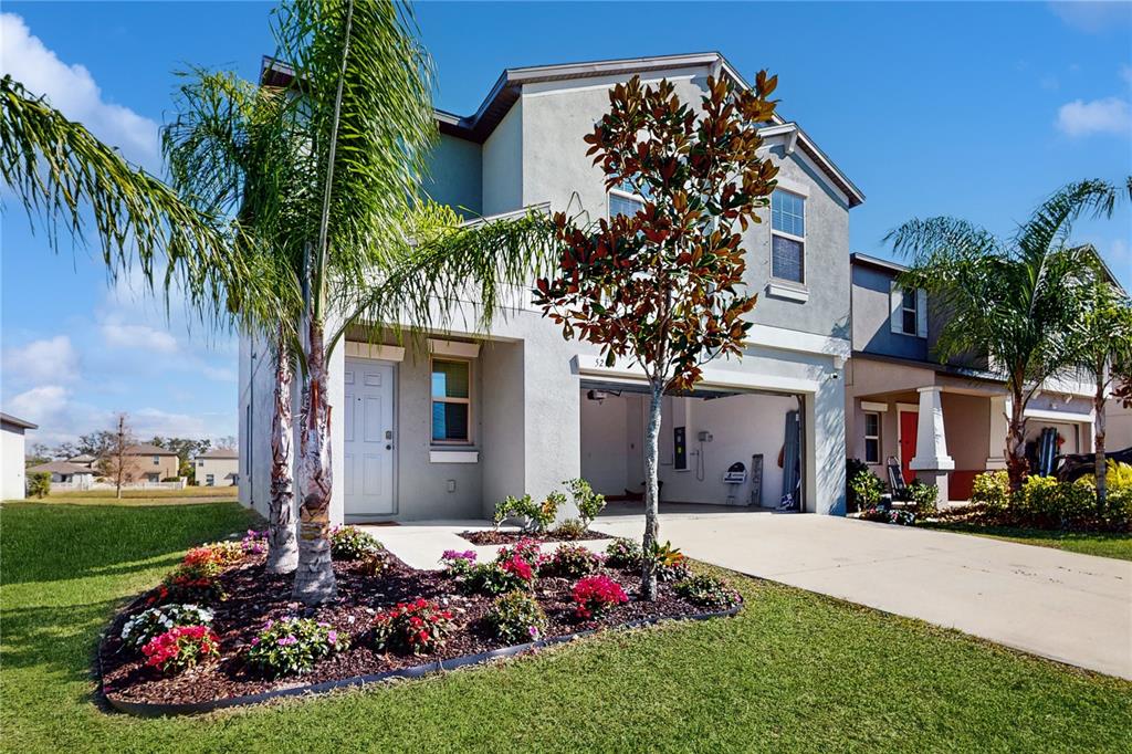 5213 DANDELION STREET