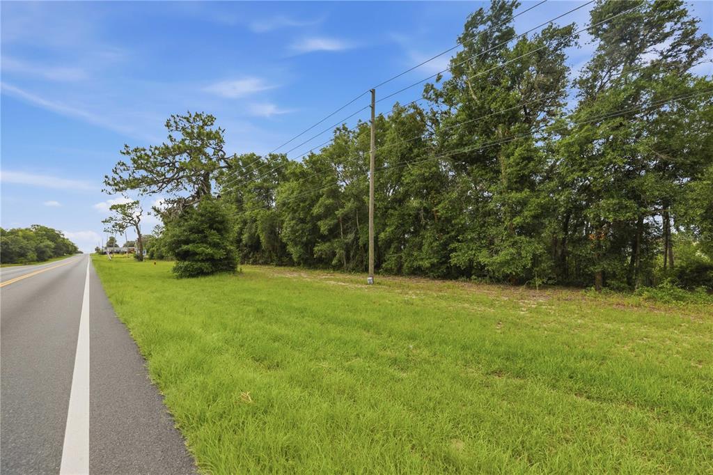A paved road runs alongside a grassy lot bordered by a line of mature trees — TBD CR-25, BELLEVIEW, FL