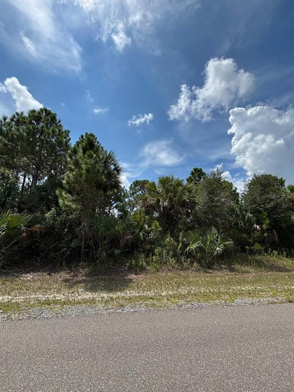 534 FIREBRAND STREET SW, PALM BAY, FL — photo 5 of 5